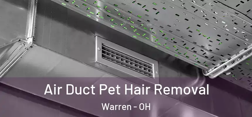  Air Duct Pet Hair Removal Warren - OH