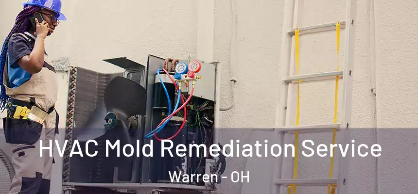  HVAC Mold Remediation Service Warren - OH