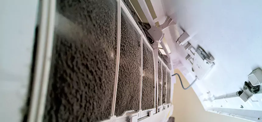 Preventive Air Duct Bacteria Removal in Warren