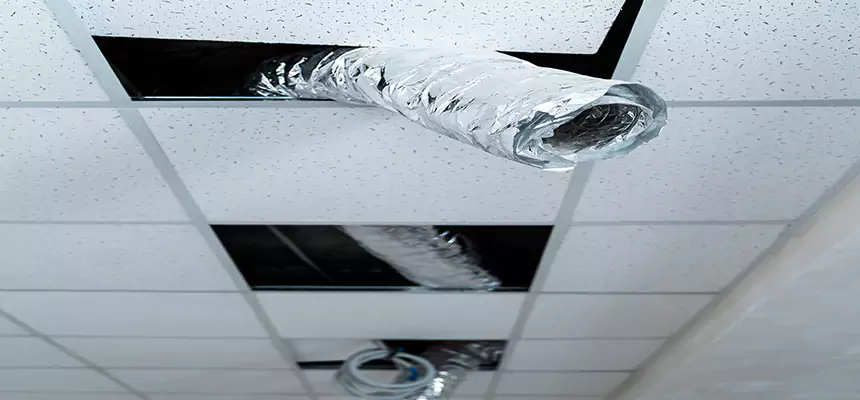 Our Air Duct Pet Hair Removal Services in Warren, OH