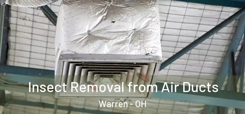  Insect Removal from Air Ducts Warren - OH