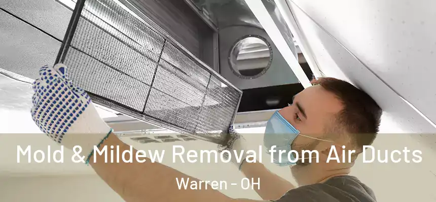 Mold & Mildew Removal from Air Ducts Warren - OH