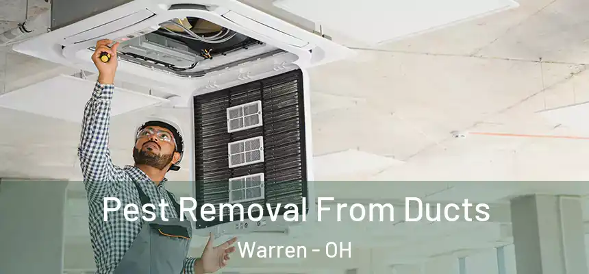  Pest Removal From Ducts Warren - OH