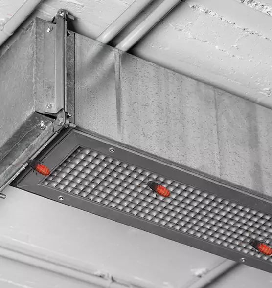 Affordable Insect Removal from Air Ducts in Warren, OH