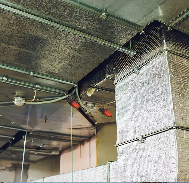 Why Homeowners & Businesses Trust Us in Warren, OH?