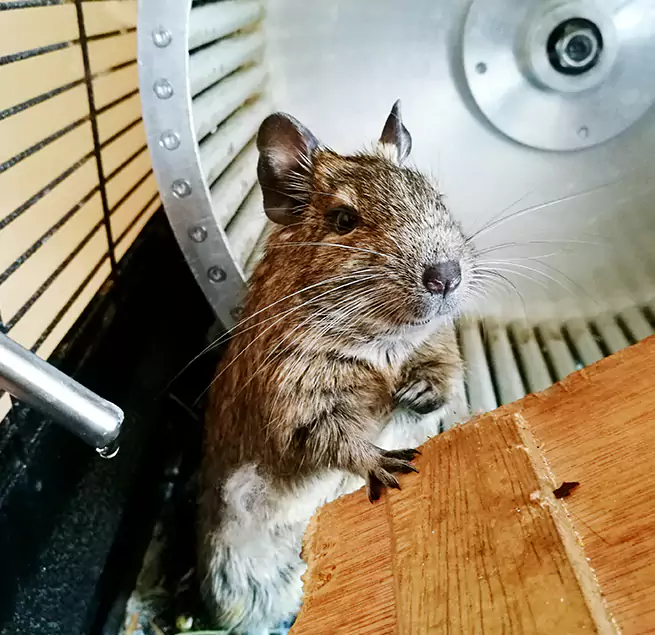 Why Homeowners & Businesses Trust Us Warren, OH